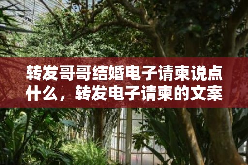 转发哥哥结婚电子请柬说点什么，转发电子请柬的文案模板怎么写