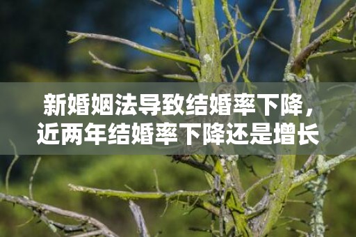 新婚姻法导致结婚率下降，近两年结婚率下降还是增长