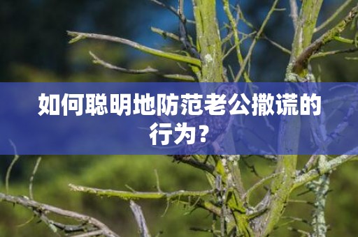 如何聪明地防范老公撒谎的行为？