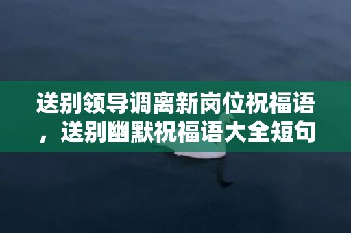 送别领导调离新岗位祝福语，送别幽默祝福语大全短句