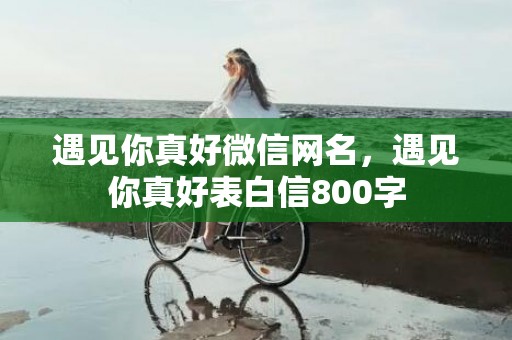 遇见你真好微信网名，遇见你真好表白信800字