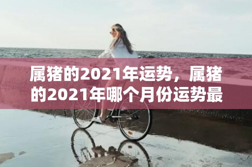 属猪的2021年运势，属猪的2021年哪个月份运势最佳 总体运势最好