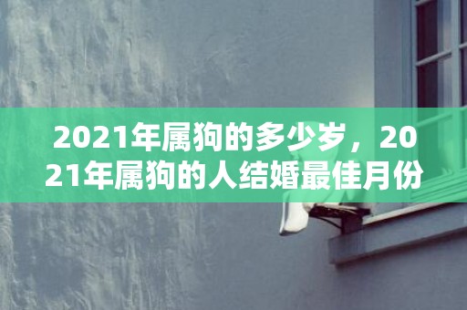 2021年属狗的多少岁，2021年属狗的人结婚最佳月份 结婚运势分析