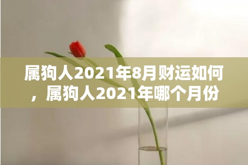 属狗人2021年8月财运如何，属狗人2021年哪个月份财运最旺