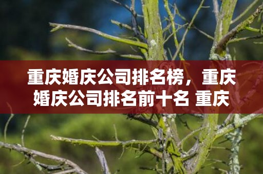 重庆婚庆公司排名榜，重庆婚庆公司排名前十名 重庆婚礼策划排行榜