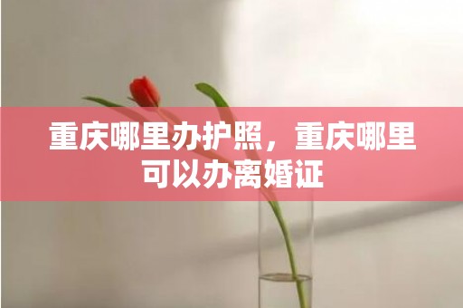 重庆哪里办护照，重庆哪里可以办离婚证