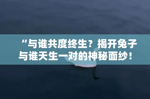 “与谁共度终生？揭开兔子与谁天生一对的神秘面纱！”