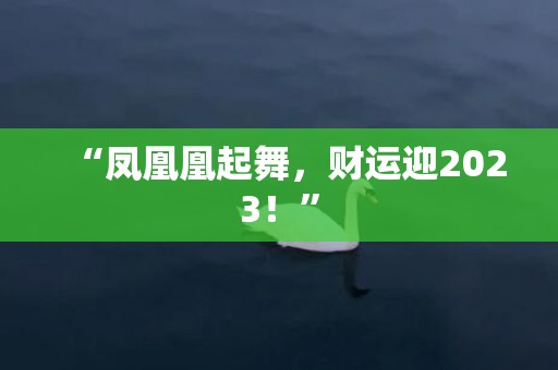 “凤凰凰起舞，财运迎2023！”