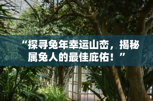 “探寻兔年幸运山峦，揭秘属兔人的最佳庇佑！”