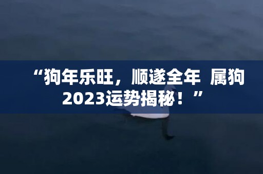 “狗年乐旺，顺遂全年  属狗2023运势揭秘！”