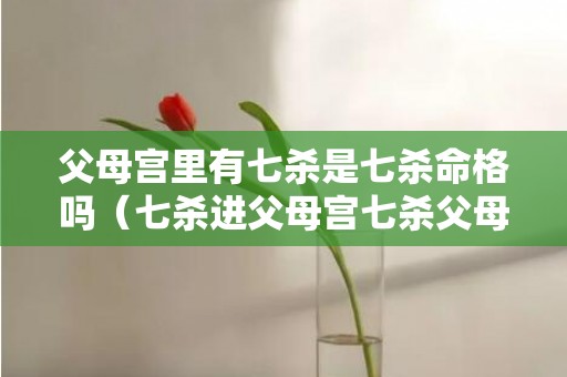 父母宫里有七杀是七杀命格吗（七杀进父母宫七杀父母宫长）