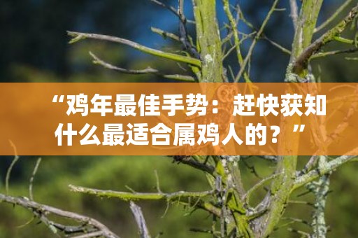 “鸡年最佳手势：赶快获知什么最适合属鸡人的？”