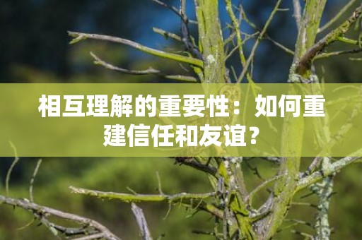 相互理解的重要性：如何重建信任和友谊？