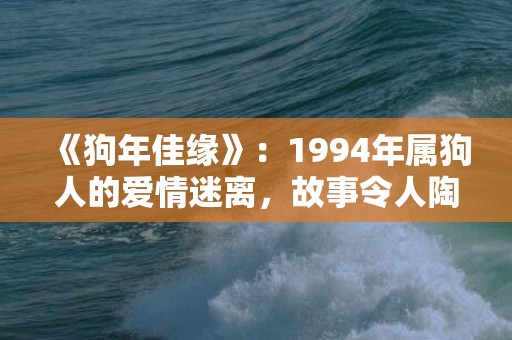 《狗年佳缘》：1994年属狗人的爱情迷离，故事令人陶醉！