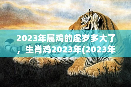 2023年属鸡的虚岁多大了，生肖鸡2023年(2023年属鸡的人犯太岁怎么化解)