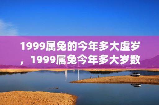 1999属兔的今年多大虚岁，1999属兔今年多大岁数2021(1999属兔的今年运势怎么样有没有小栽)