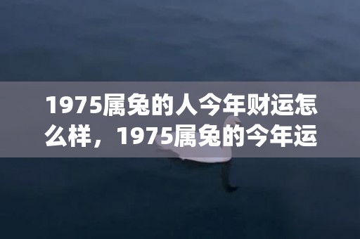 1975属兔的人今年财运怎么样，1975属兔的今年运气怎样(1975属兔的人五行缺什么)