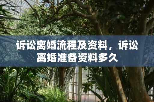 诉讼离婚流程及资料，诉讼离婚准备资料多久