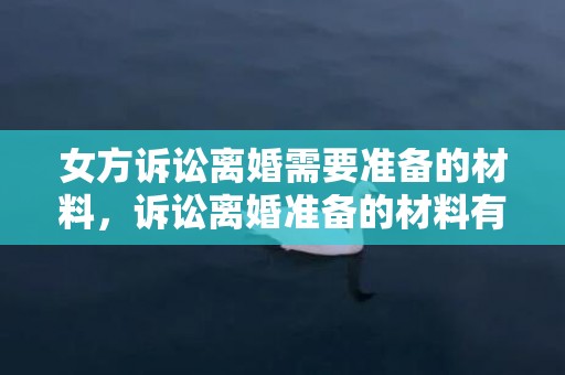 女方诉讼离婚需要准备的材料，诉讼离婚准备的材料有哪些要求和标准