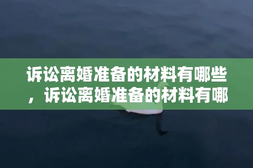 诉讼离婚准备的材料有哪些，诉讼离婚准备的材料有哪些要求和手续