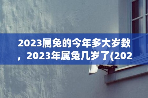 2023属兔的今年多大岁数，2023年属兔几岁了(2023属兔缺金女孩名有哪些字)