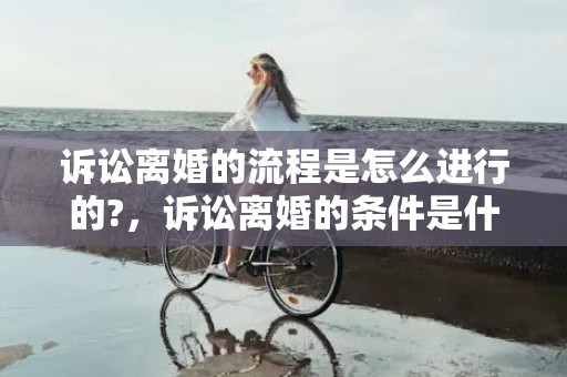 诉讼离婚的流程是怎么进行的?，诉讼离婚的条件是什么