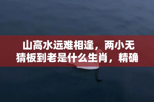  山高水远难相逢，两小无猜板到老是什么生肖，精确落实答案