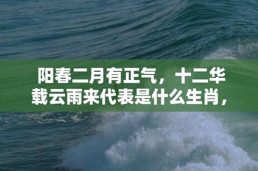  阳春二月有正气，十二华载云雨来代表是什么生肖，准确解释