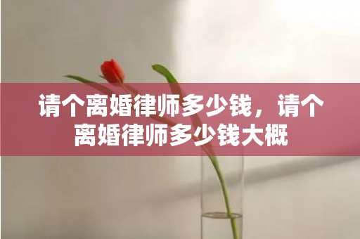 请个离婚律师多少钱，请个离婚律师多少钱大概