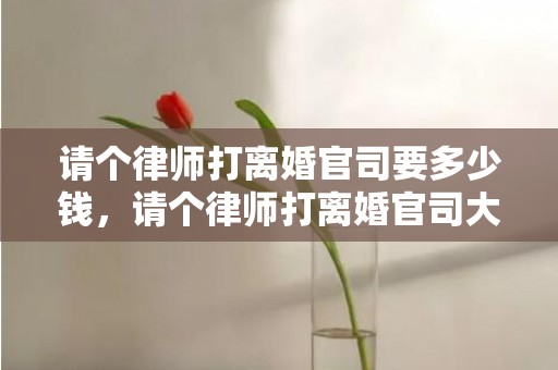 请个律师打离婚官司要多少钱，请个律师打离婚官司大概要多少钱费用