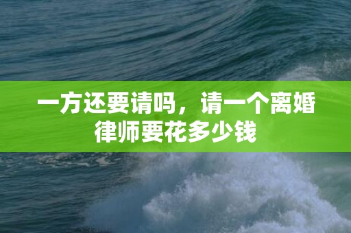 一方还要请吗，请一个离婚律师要花多少钱