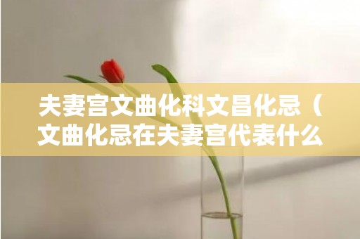 夫妻宫文曲化科文昌化忌（文曲化忌在夫妻宫代表什么文曲化忌夫妻宫的无奈）