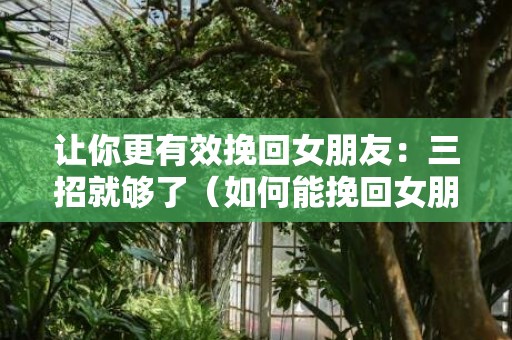 让你更有效挽回女朋友：三招就够了（如何能挽回女朋友）