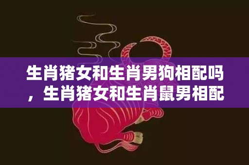 生肖猪女和生肖男狗相配吗，生肖猪女和生肖鼠男相配吗