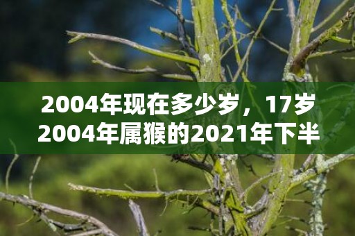 2004年现在多少岁，17岁2004年属猴的2021年下半年运势