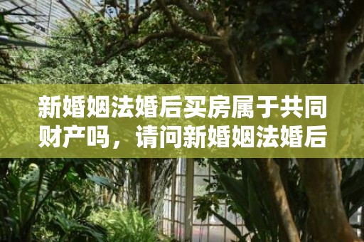 新婚姻法婚后买房属于共同财产吗，请问新婚姻法婚后房子加名字有用吗