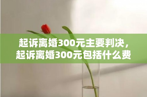 起诉离婚300元主要判决，起诉离婚300元包括什么费用呢多少钱