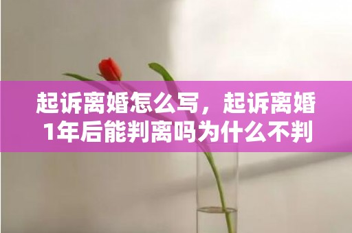 起诉离婚怎么写，起诉离婚1年后能判离吗为什么不判离