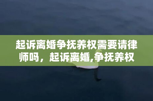 起诉离婚争抚养权需要请律师吗，起诉离婚,争抚养权要多少费用