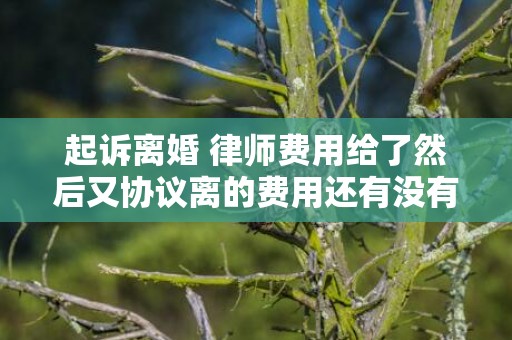 起诉离婚 律师费用给了然后又协议离的费用还有没有退