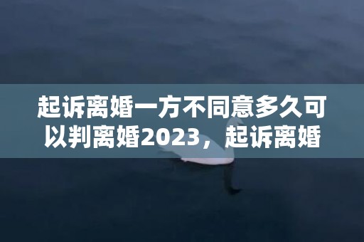 起诉离婚一方不同意多久可以判离婚2023，起诉离婚一方不同意多久可以再起诉一次