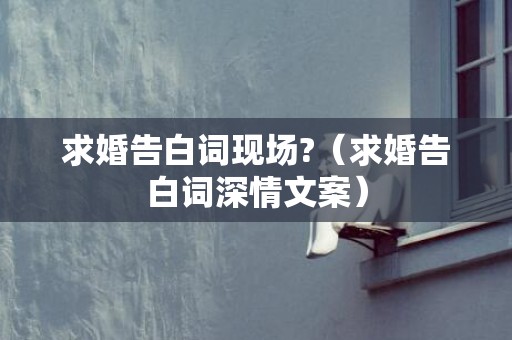 求婚告白词现场?（求婚告白词深情文案）