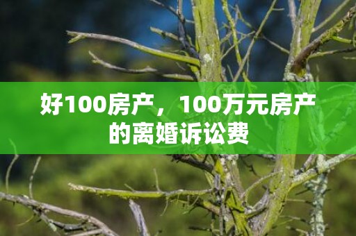 好100房产，100万元房产的离婚诉讼费