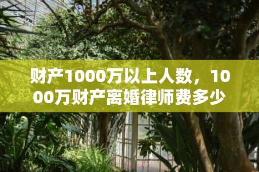 财产1000万以上人数，1000万财产离婚律师费多少