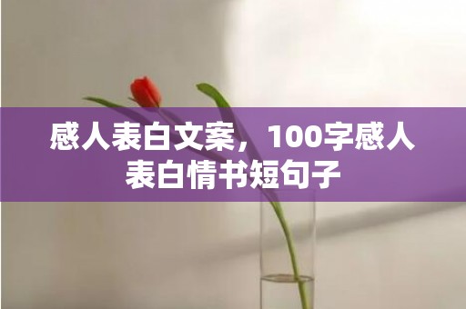 感人表白文案，100字感人表白情书短句子