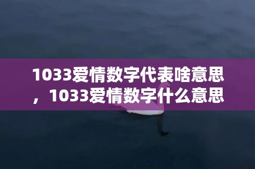 1033爱情数字代表啥意思，1033爱情数字什么意思