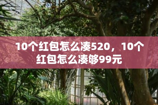 10个红包怎么凑520，10个红包怎么凑够99元