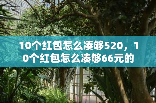 10个红包怎么凑够520，10个红包怎么凑够66元的