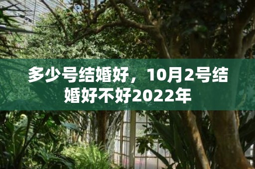 多少号结婚好，10月2号结婚好不好2022年