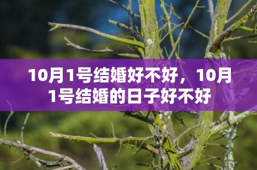 10月1号结婚好不好，10月1号结婚的日子好不好